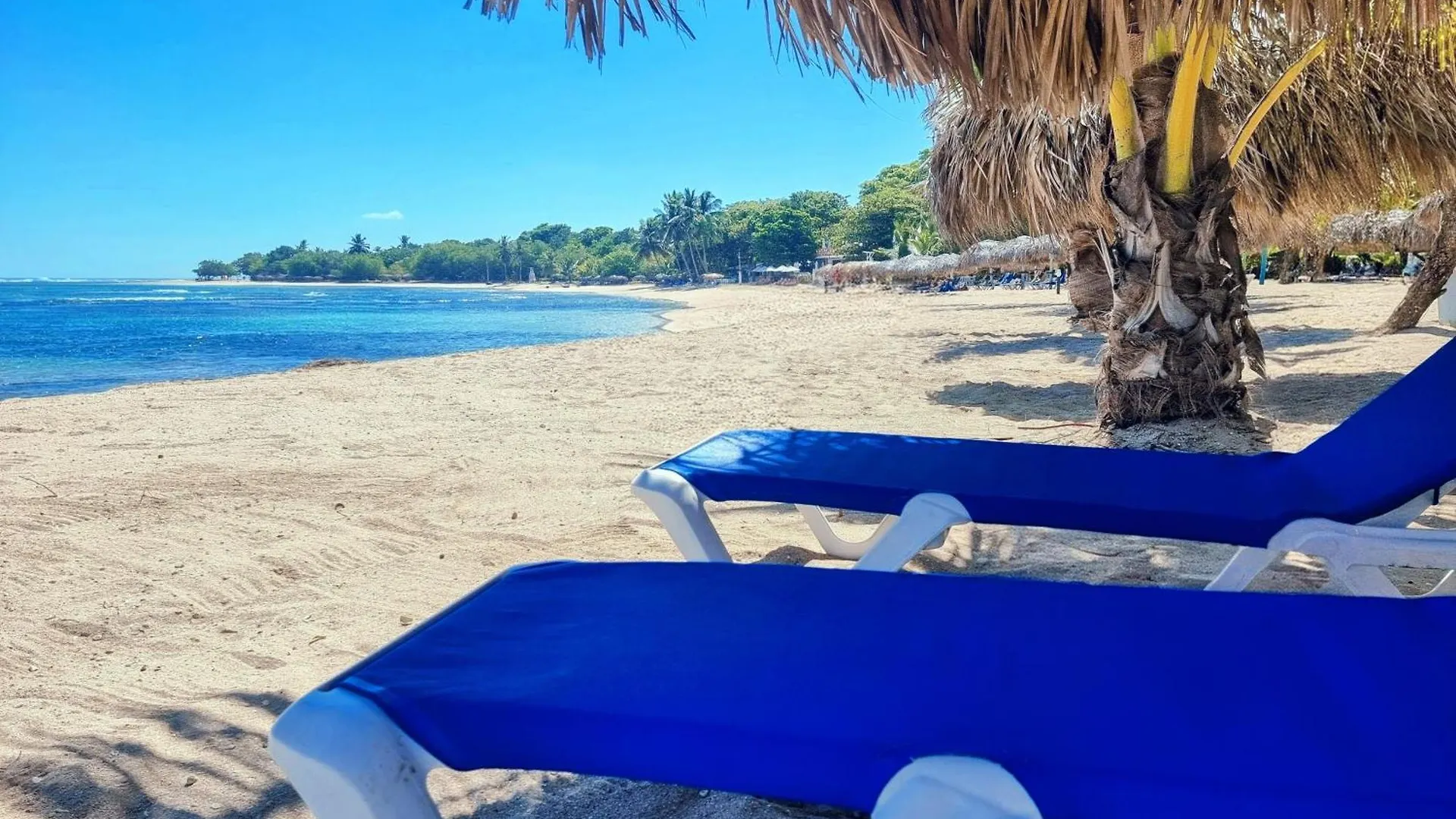 Sun Sea - Costambar Beachside Apartment With Pool Puerto Plata